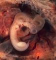 Thumbnail for version as of 10:33, 5 February 2020