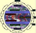 Thumbnail for version as of 07:53, 5 February 2020