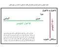 Thumbnail for version as of 00:53, 27 February 2022