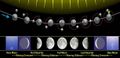 Thumbnail for version as of 10:20, 5 February 2020