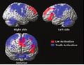Thumbnail for version as of 08:35, 4 February 2020