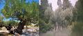 Thumbnail for version as of 08:25, 1 February 2020