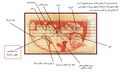 Thumbnail for version as of 17:16, 30 April 2021