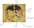 Thumbnail for version as of 18:06, 17 June 2021