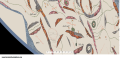 Thumbnail for version as of 14:31, 27 March 2022