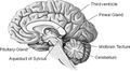 Thumbnail for version as of 12:55, 5 February 2020