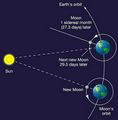 Thumbnail for version as of 07:22, 10 February 2020