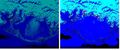 Thumbnail for version as of 13:24, 30 October 2021