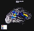 Thumbnail for version as of 09:12, 3 February 2020