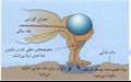 Thumbnail for version as of 11:40, 19 February 2020