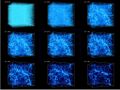 Thumbnail for version as of 22:50, 26 March 2020